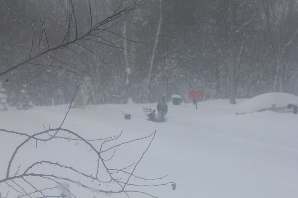 New Camera Dec2010 371